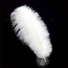 Sensitive Skin Routine